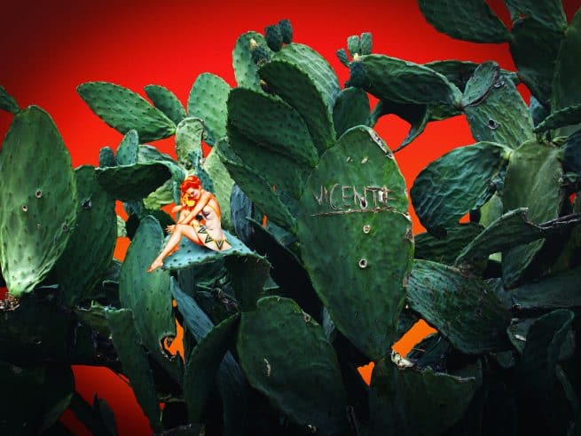 Who Shot Vicente Maikel Thijssen Photography