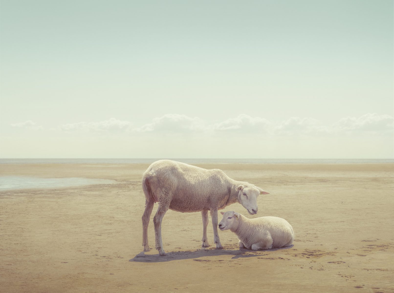 Hope and Prosperity Maikel Thijssen Photography aanpassing Lijst 41x30,5cm