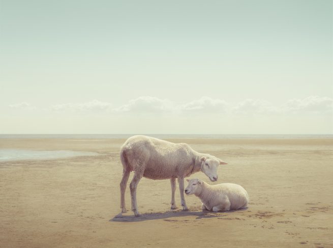 Hope and Prosperity Maikel Thijssen Photography aanpassing Lijst 41x30,5cm